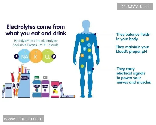深圳篮球队耐力对比深度解析揭示球队竞技状态与训练效果