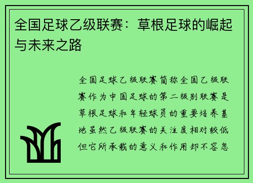 全国足球乙级联赛：草根足球的崛起与未来之路