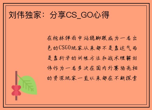 刘伟独家：分享CS_GO心得
